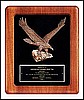 Eagle on Velour Plaque (14"x17")
